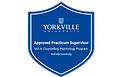 Yorkville University