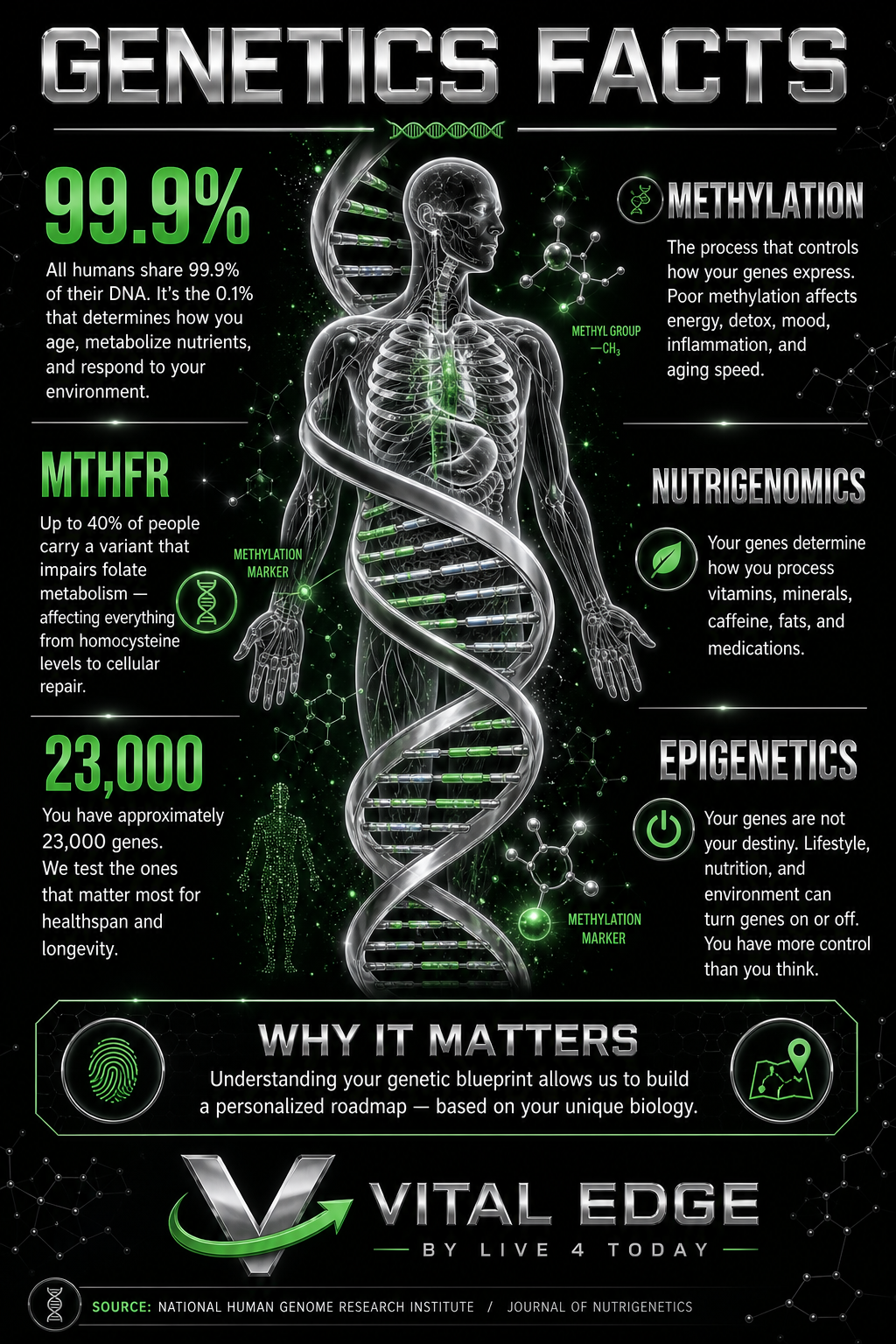 Genetics