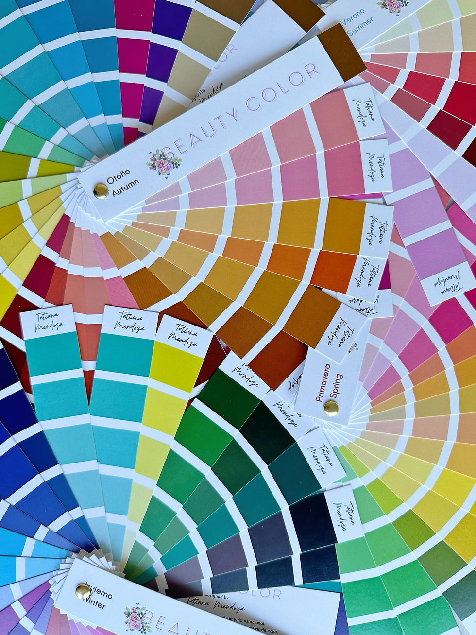 Pack 12 paletas de colores