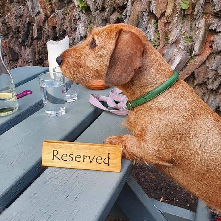 Writer: Trailing Tails 