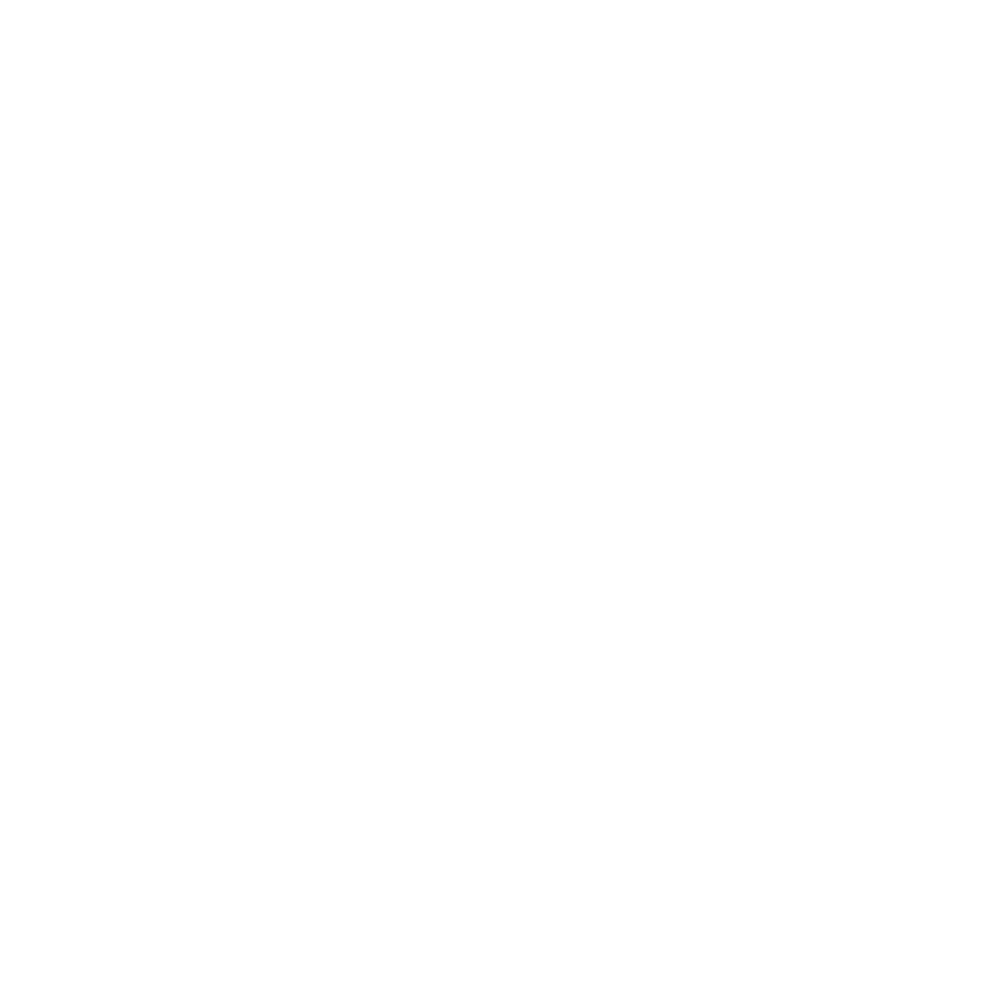 Leos Logo