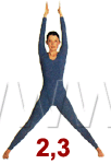 vojin-02.gif