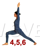 vojin-03.gif