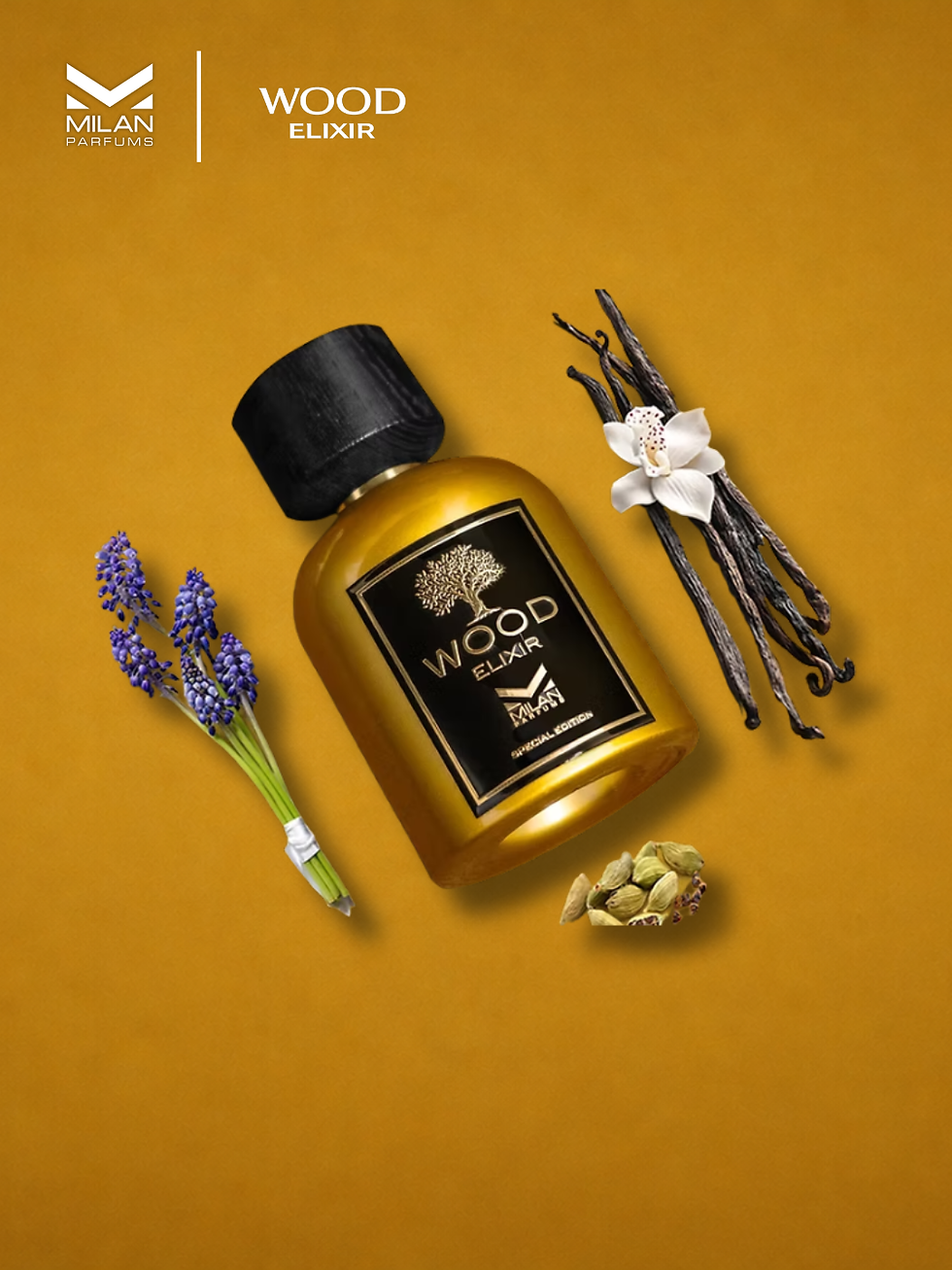 PERFUME121345 - 2026-05-19T123136.938