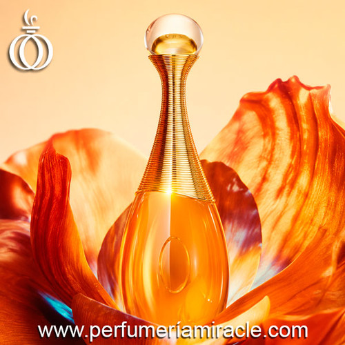 Christian Dior J'adore Intense Parfum 100 ml | Perfumería Miracle