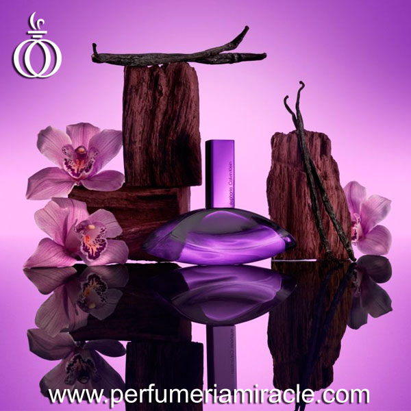 Miniatura: Calvin Klein Euphoria Bold Elixir Parfum 100ml