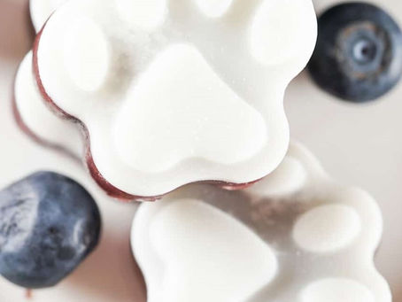 Frozen Blueberry Coconut Treats