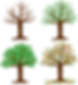 ree