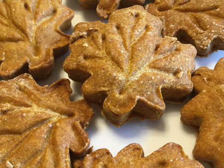 Pumpkin & Peanut Butter Dog Treats