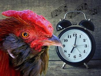 Time for your "Wake-Up" Call!