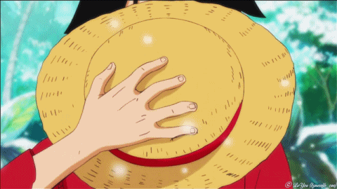 251DB93A58CA22F316.gif