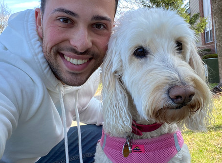 Separation anxiety with pets and COVID-19