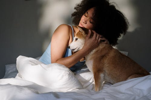 Dog sitter nj