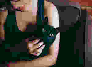 Pet sitter new jersey