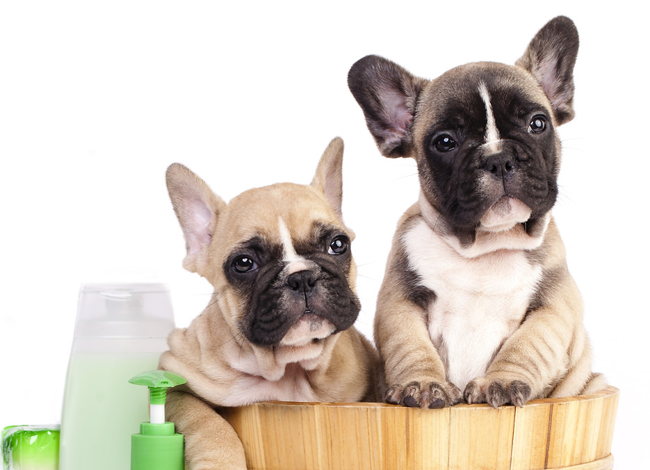 shutterstock_302753480 (1).jpg