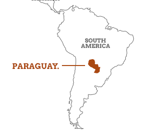 Paraguay in south america.gif