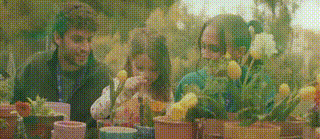 WhatsApp Video 2026-08-11 at 18.48.33 (5).gif
