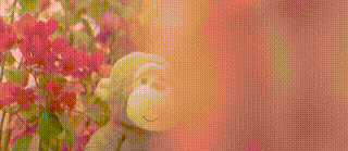 WhatsApp Video 2026-08-11 at 18.48.33.gif