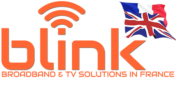 blink google home