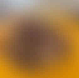 yellow plate with chasiu pork and rice