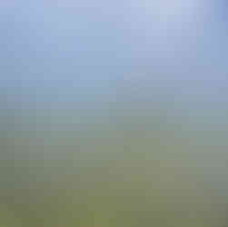 one of the public access points to the lagoon with lily pads in the water