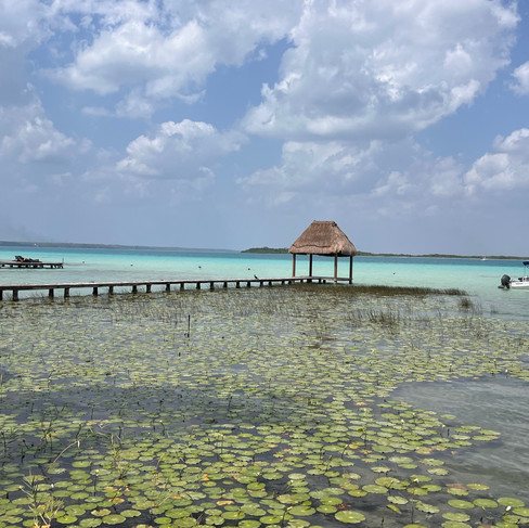 one of the public access points to the lagoon with lily pads in the water