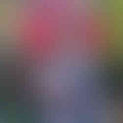 jordan wearing kimono holding a red umbrella in the garden at the tea ceremony