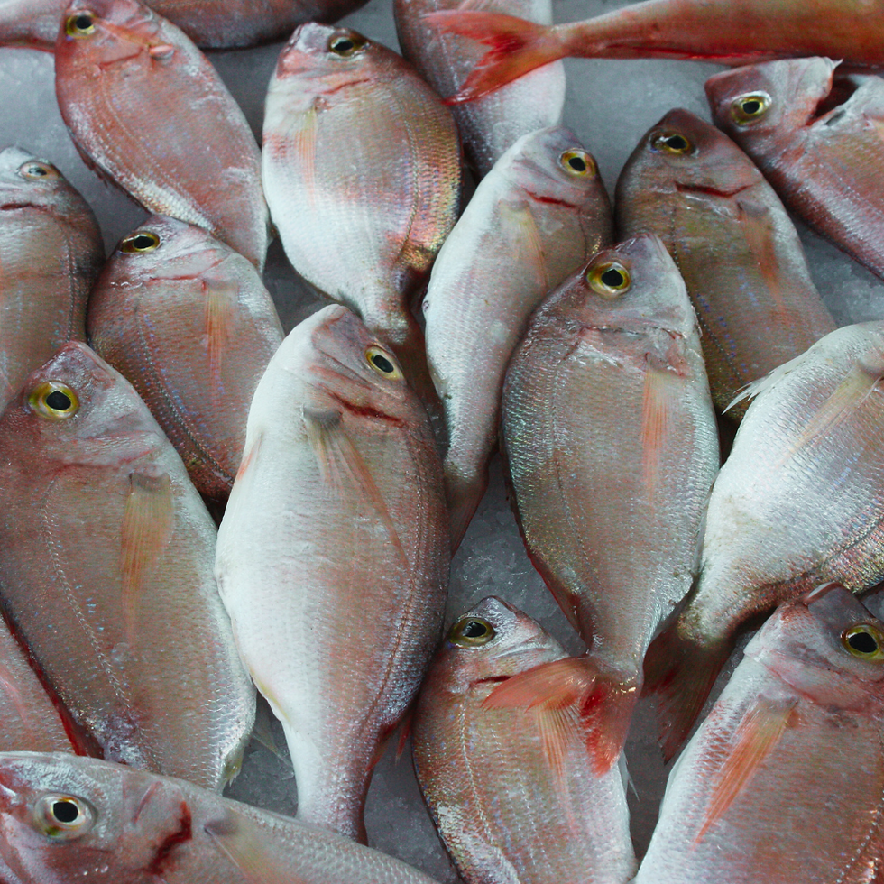 Poisson Corb