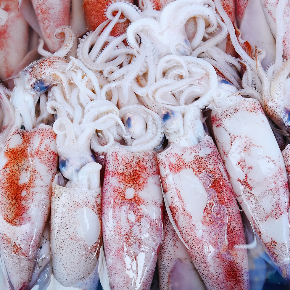 Calamars
