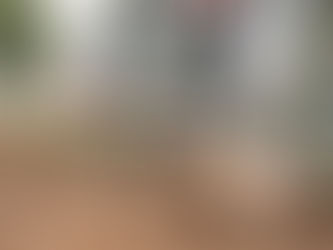 Future Goals For Our Farm