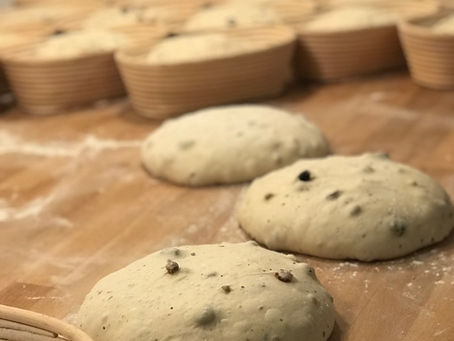 A more civilised update for you this week!