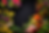 ChatGPT Image 19 ene 2026, 12_14_44.png