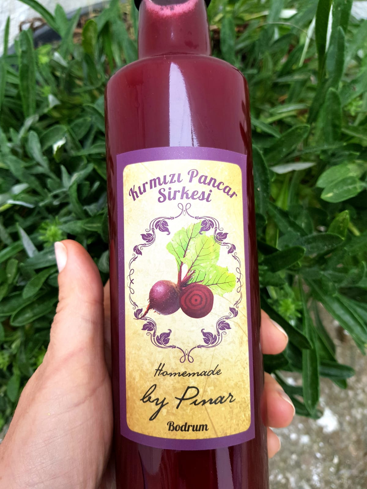 Kirmizi Pancar Sirkesi 500 Ml Homemade By Pinar