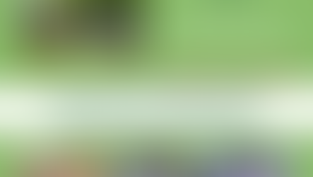 Springtime in the Gardens Outdoor Market