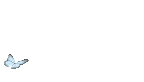 giphy (3).gif