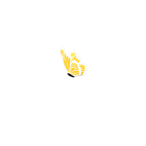 giphy (5).gif