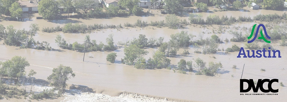 FIPP Background (1).jpg