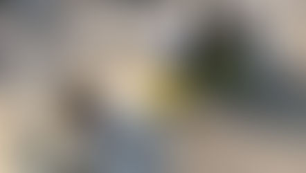 ☆☆最新情報☆☆地域貢献活動の一環として、弊社周辺の市道の清掃を行いました。雑草を手作業で引き抜くのは大変でしたが、皆で協力してきれいにすることができました。