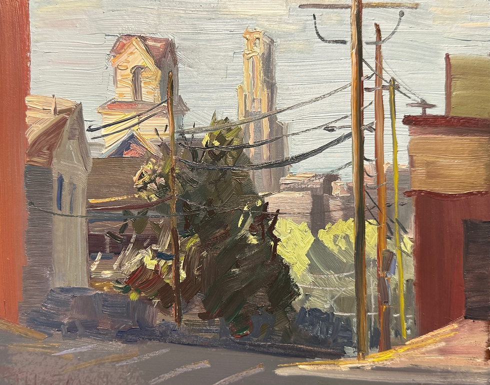 Thumbnail: The cathedral from Bloomfeild 