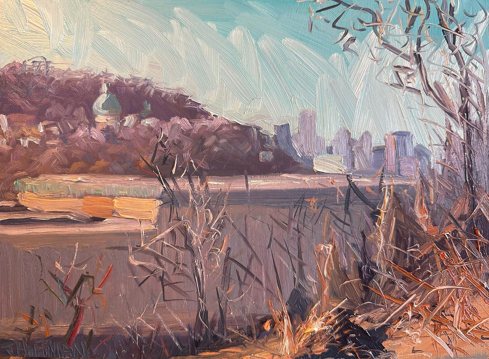 Polish Hill February 2024 #4