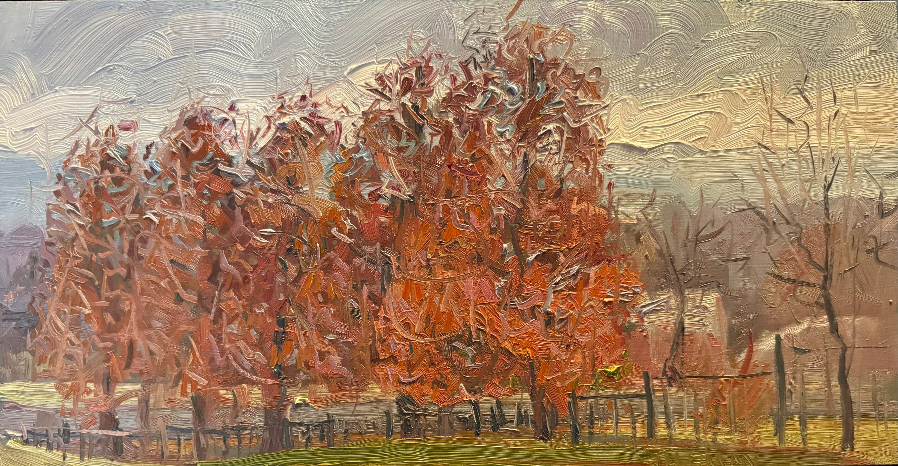 Pgh Parks #14 November 2023