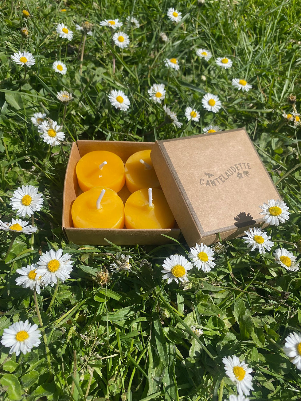 Miniature : Bougie Lueur