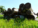 AGROCORTEX