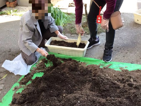 花植え