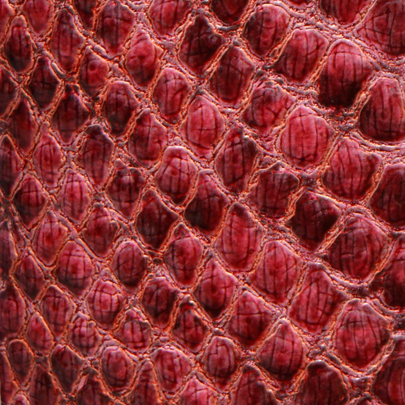 Burgundy Lizard