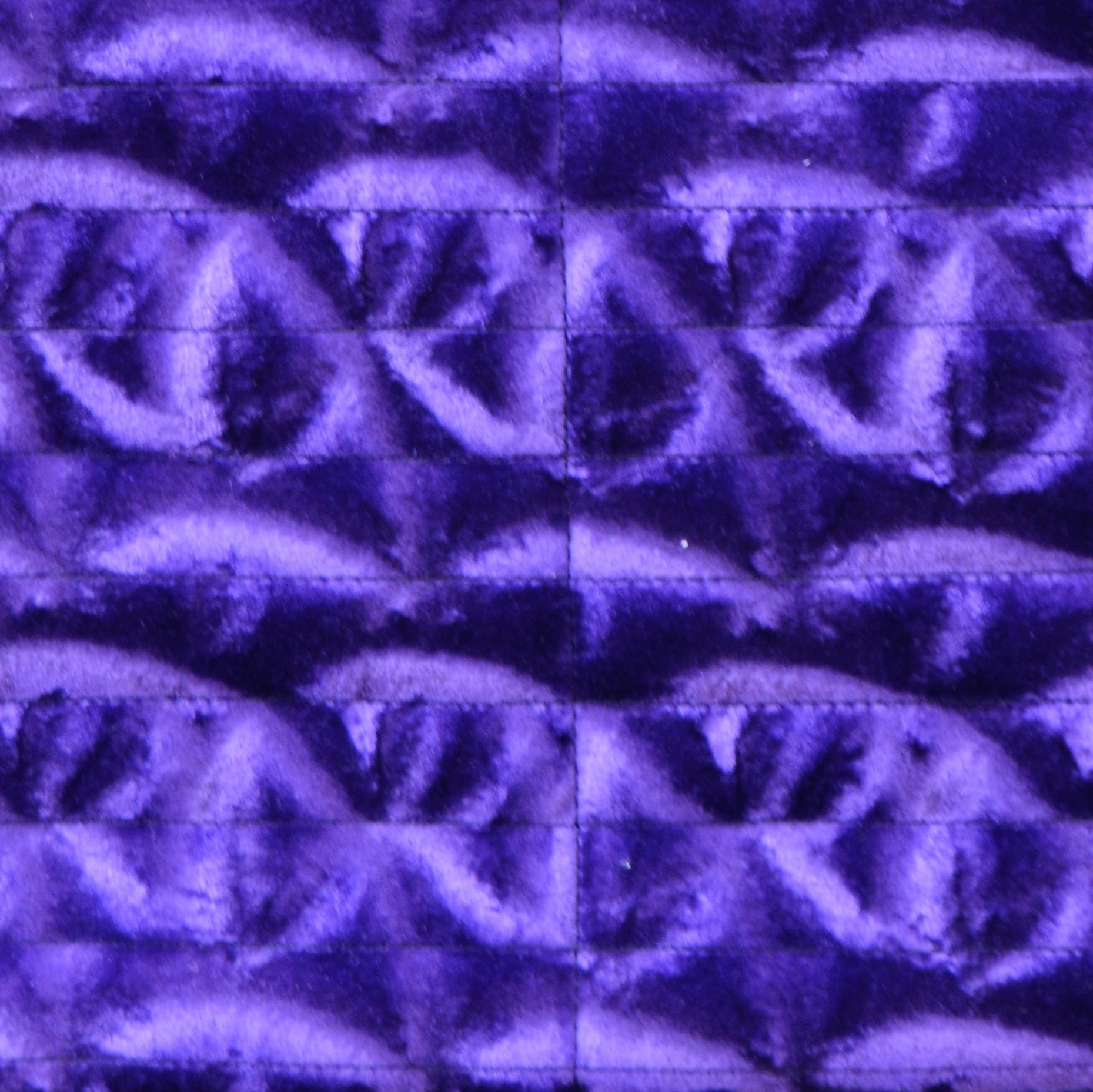Bright Purple