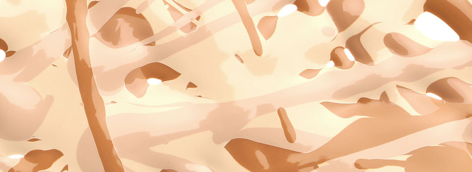 06_1_12_Xfine.jpg