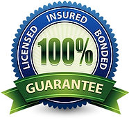 Copy of Licensed-Insured-Bonded-Badge_pn