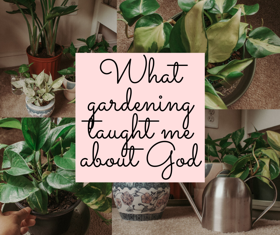 What gardening taight me about God.png