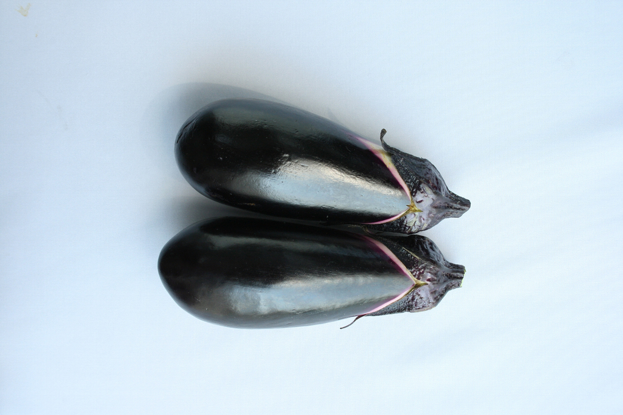 eggplantページ Eggplant Seeds — Rohrer Seeds